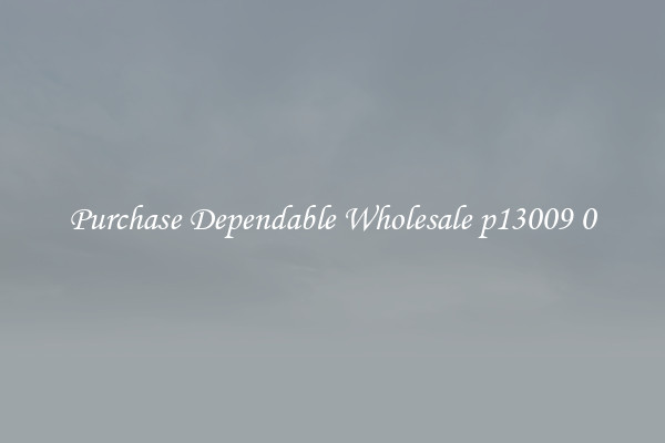 Purchase Dependable Wholesale p13009 0