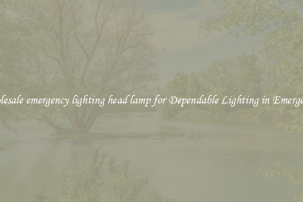 Wholesale emergency lighting head lamp for Dependable Lighting in Emergencies