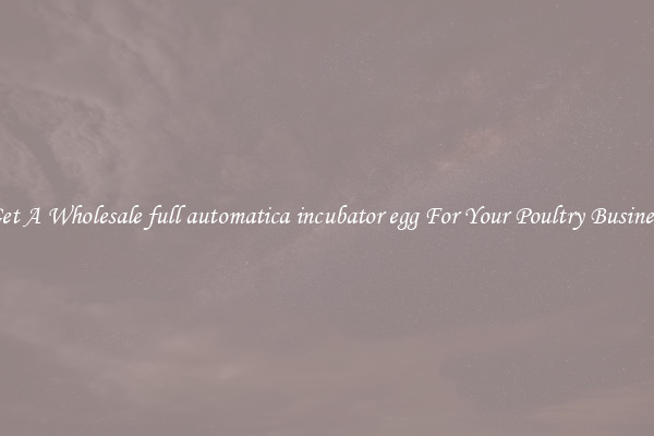 Get A Wholesale full automatica incubator egg For Your Poultry Business