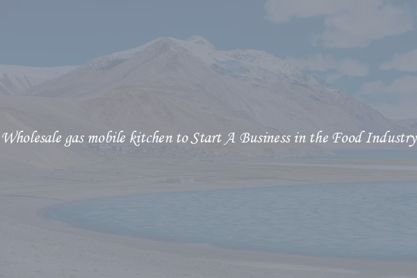 Wholesale gas mobile kitchen to Start A Business in the Food Industry