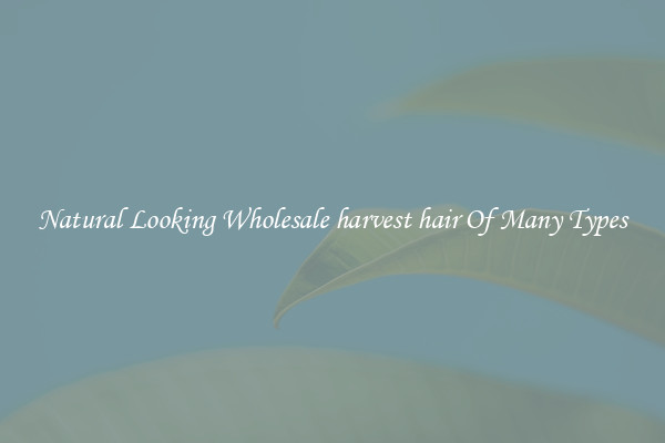Natural Looking Wholesale harvest hair Of Many Types