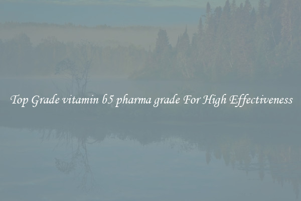 Top Grade vitamin b5 pharma grade For High Effectiveness