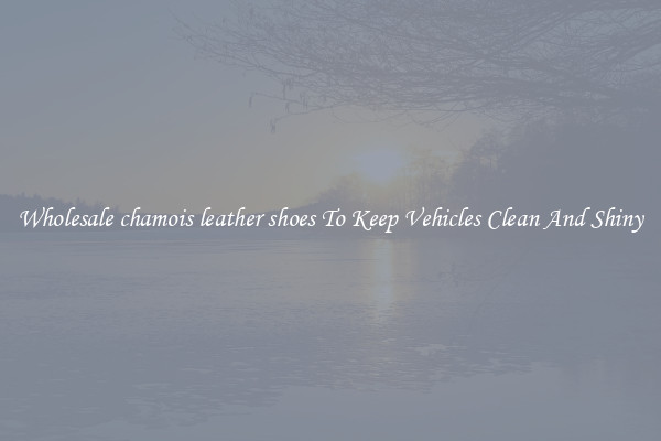 Wholesale chamois leather shoes To Keep Vehicles Clean And Shiny