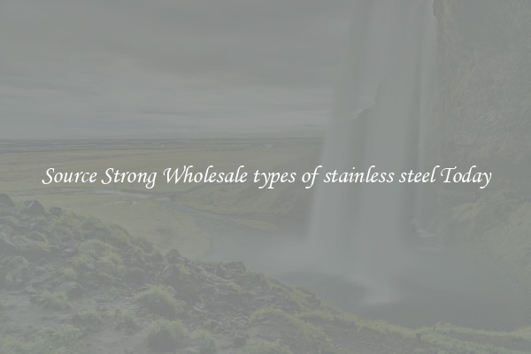 Source Strong Wholesale types of stainless steel Today