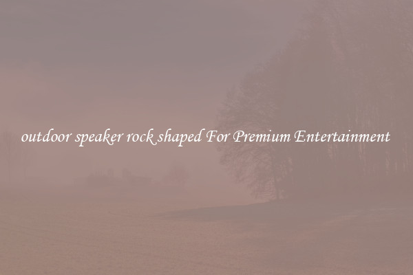 outdoor speaker rock shaped For Premium Entertainment 