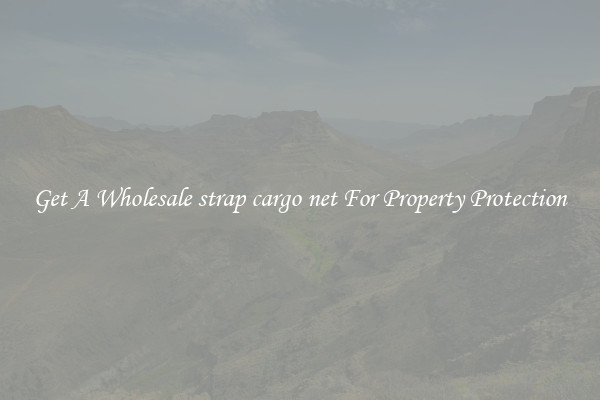 Get A Wholesale strap cargo net For Property Protection