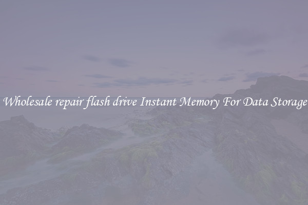 Wholesale repair flash drive Instant Memory For Data Storage