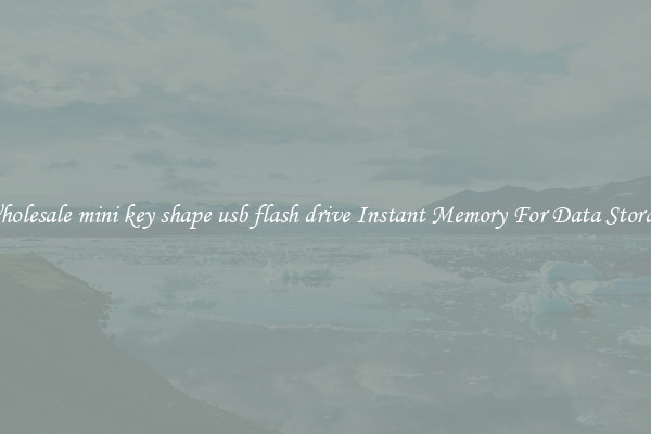 Wholesale mini key shape usb flash drive Instant Memory For Data Storage