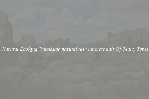 Natural Looking Wholesale natural raw burmese hair Of Many Types