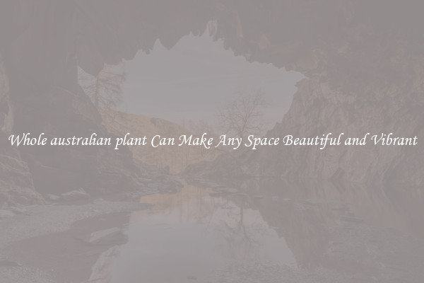 Whole australian plant Can Make Any Space Beautiful and Vibrant