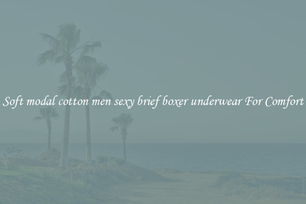 Soft modal cotton men sexy brief boxer underwear For Comfort