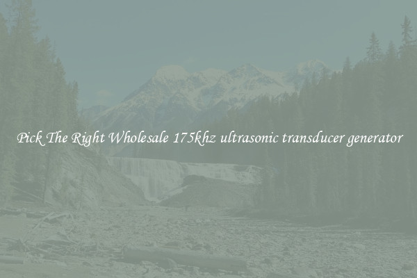 Pick The Right Wholesale 175khz ultrasonic transducer generator