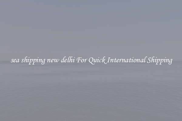 sea shipping new delhi For Quick International Shipping