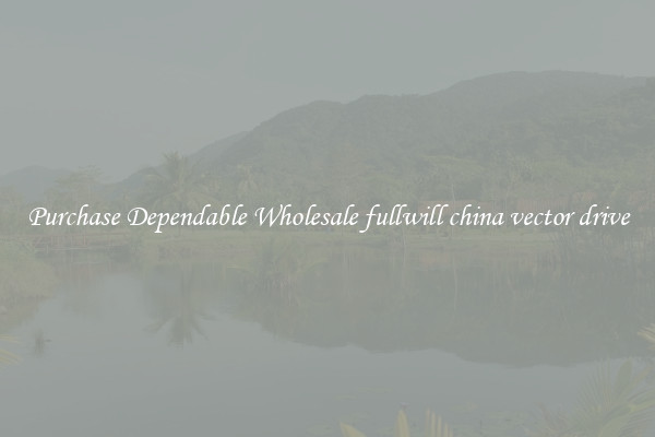 Purchase Dependable Wholesale fullwill china vector drive