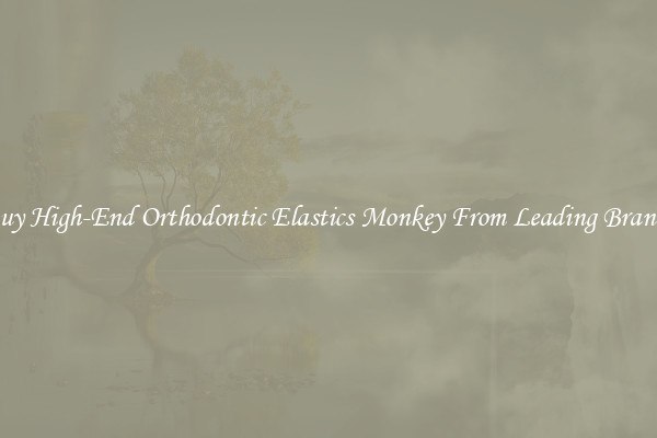 Buy High-End Orthodontic Elastics Monkey From Leading Brands