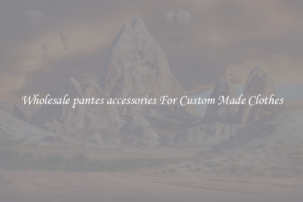Wholesale pantes accessories For Custom Made Clothes