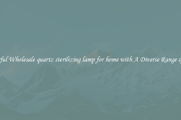 Powerful Wholesale quartz sterilizing lamp for home with A Diverse Range of Uses