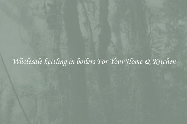 Wholesale kettling in boilers For Your Home & Kitchen