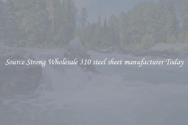 Source Strong Wholesale 310 steel sheet manufacturer Today