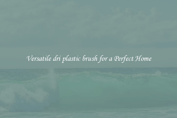 Versatile dri plastic brush for a Perfect Home