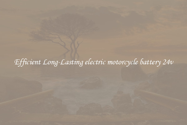 Efficient Long-Lasting electric motorcycle battery 24v